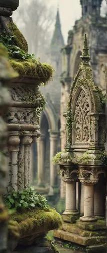 ruins,ancient ruins,labyrinthian,mausoleum ruins,the ruins of the,rivendell,ruin,ancient city,ancient buildings,ancients,moss landscape,ruine,theed,abandoned place,ancient,ruinas,ancient house,crypts,relics,cathedrals,Unique,3D,Panoramic