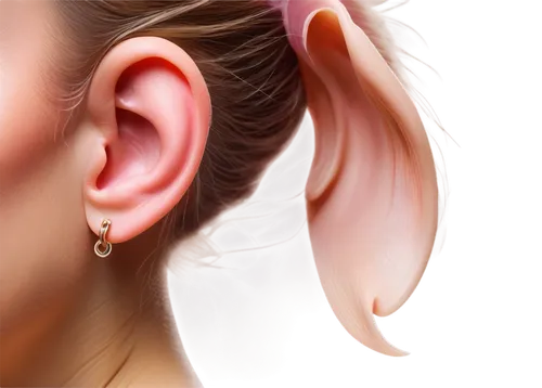 auricle,ear,ear cancers,ears of cows,earring,ear tags,earpieces,hearing,ears,earrings,ear-drum,ear sticks,grain ears,medical illustration,earplug,princess' earring,earphone,earbuds,bluetooth headset,wheat ear,Conceptual Art,Fantasy,Fantasy 28