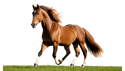 Majestic horse, galloping, wild, free spirit, brown coat, flowing mane, strong muscles, detailed hooves, green meadow background, sun shining down, warm lighting, 3/4 composition, shallow depth of fie