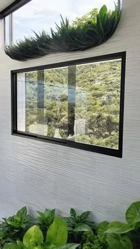 a mirror sitting above a window on a wall next to green plants,transparent window,botanical frame,vivarium,glass window,window with sea view,glass wall,windowblinds,window transparent,window blinds,wi