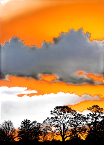 treeline,evening sky,unset,unmiset,coucher,orange sky,sunset over the golf course,dusk background,abstract silhouette,oversaturated,pictorialist,subset,fire on sky,crepuscule,black hawk sunrise,skyscape,red cloud,fir tree silhouette,savane,tree silhouette,Art,Classical Oil Painting,Classical Oil Painting 39