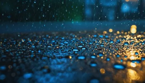 rain droplets,rainwater drops,rain drops,rain on window,droplets of water,drop of rain,blue rain,raindrops,waterdrops,water drops,droplets,pouring,raindops,drops of water,water droplets,raindrop,rain,heavy rain,rain field,light rain,Photography,General,Fantasy