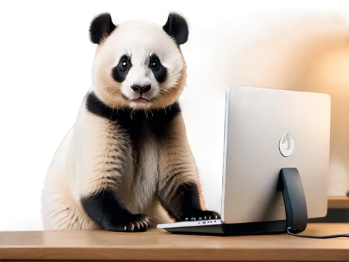 pandabear,panda,panda bear,beibei,pandua,giant panda,pandurevic,pandita,pandas,lun,pandur,pando,large panda bear,pandl,kawaii panda,pandera,panda cub,pandeli,pandin,osx,Illustration,Retro,Retro 05