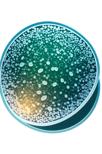 coliforms,actinomyces,penicillium,cryptosporidium,microsporum,bifidobacterium,microparticles,microcapsules,microsporidia,blastocystis,cyanobacterium,propionibacterium,actinobacteria,microorganisms,micrococcus,microbiological,microspheres,rivularis,cryptococcus,endospores,Illustration,Vector,Vector 03