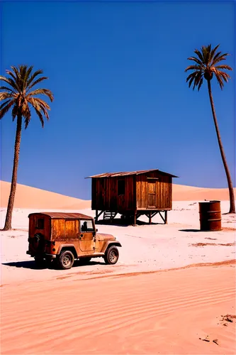 desertlike,libyan desert,deserto,capture desert,liwa,crescent dunes,huacachina oasis,the desert,glamis,huacachina,desert desert landscape,desert,san dunes,desert landscape,deserts,desert background,rust truck,swakopmund,argentina desert,date palms,Art,Artistic Painting,Artistic Painting 42