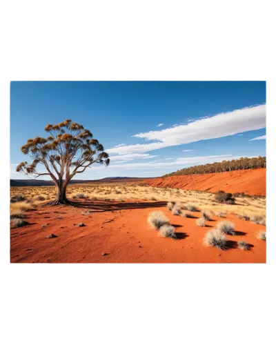 Australian landscape, panoramic view, blue sky with fluffy white clouds, sun-kissed terrain, rugged outback, red earth, spinifex grass, eucalyptus trees, solitary tree in distance, warm lighting, gold