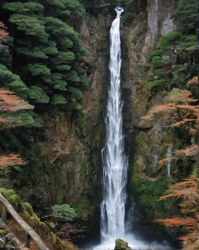 brown waterfall,ash falls,salt creek falls,water falls,cheonjiyeon falls,the chubu sangaku national park,wasserfall,bond falls,bridal veil fall,ilse falls,falls,kumano kodo,water fall,cascading,waterfall,waterfalls,conguillío national park,falls of the cliff,nikko,cascades,Conceptual Art,Oil color,Oil Color 24