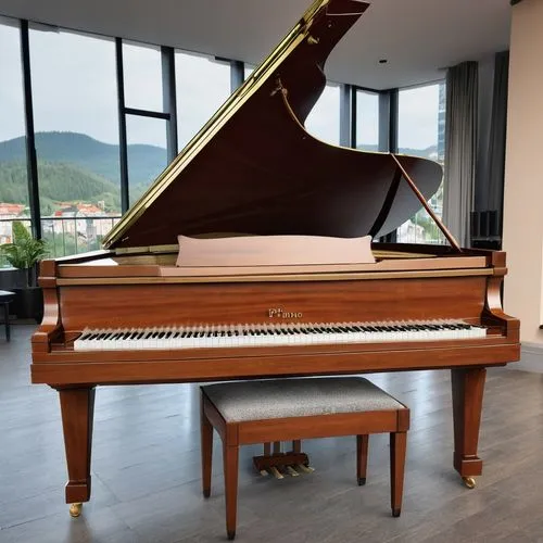 fortepiano,steinway,steinways,bosendorfer,grand piano,boesendorfer,disklavier,bechstein,simpfendorfer,the piano,harpsichord,pianoforte,play piano,carpianum,amati,grand piano pedal board,music conservatory,pianura,pianola,piano keyboard,Photography,General,Realistic