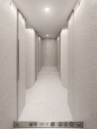 hallway space,hallway,security lighting,shower door,shower base,under-cabinet lighting,walk-in closet,modern minimalist bathroom,corridor,tile flooring,washroom,recessed,ceramic floor tile,concrete ceiling,luxury bathroom,shower panel,ceiling lighting,structural plaster,shower bar,exposed concrete,Common,Common,Natural