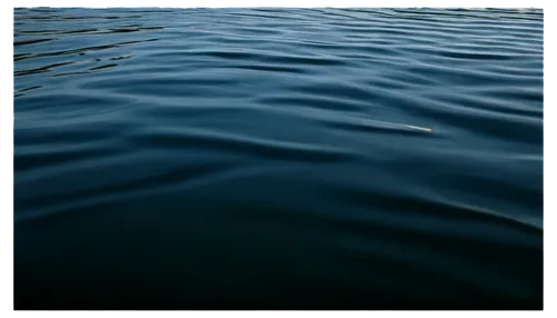 Reflected pictures, rippled water surface, soft focus, dreamy atmosphere, warm lighting, 3/4 composition, shallow depth of field, serene mood, gentle waves, subtle texture, transparent background.,dar