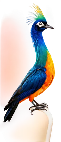 bird painting,colorful birds,an ornamental bird,ornamental bird,color feathers,bird png,feathers bird,bird illustration,bird drawing,beautiful bird,bird of paradise,aracama,bird frame,decoration bird,nature bird,confuciusornis,gouldian,bird,tropical bird,watercolor bird,Illustration,Realistic Fantasy,Realistic Fantasy 07