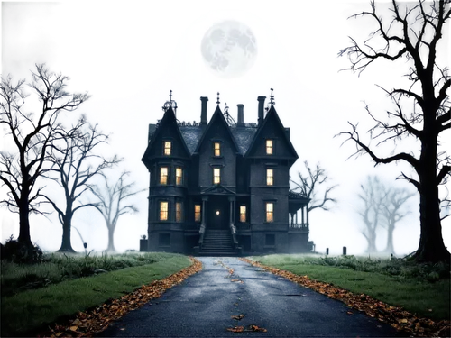 haunted castle,the haunted house,witch house,ghost castle,haunted house,witch's house,halloween background,gothic style,house silhouette,haunted cathedral,creepy house,castle of the corvin,covens,hauntings,halloween poster,halloween wallpaper,gothic,samhain,halloween frame,haunt,Conceptual Art,Daily,Daily 23