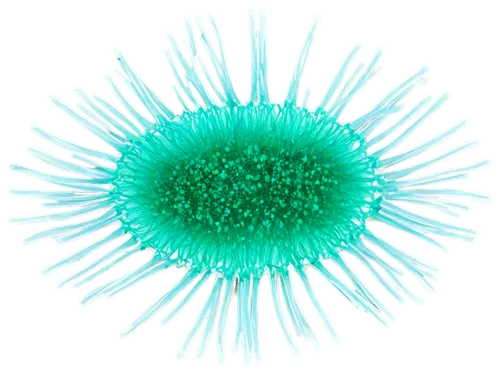 **Bacteria,a sunburst is green and very bright,flavivirus,polyomavirus,reovirus,liposomes,liposome,mimivirus,adenovirus,coronavirus,potyvirus,poliovirus,nanoparticle,pappus,echinococcus,rhinovirus,cal