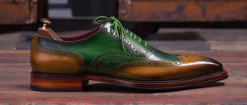 leprechaun shoes,shoemaker,achille's heel,shoemaking,cordwainer,oxford retro shoe,vintage shoes,oxford shoe,dress shoe,steel-toed boots,clog,steel-toe boot,shoe repair,durango boot,garden shoe,shoeshine boy,cowboy boot,clogs,men shoes,men's shoes,Conceptual Art,Sci-Fi,Sci-Fi 22