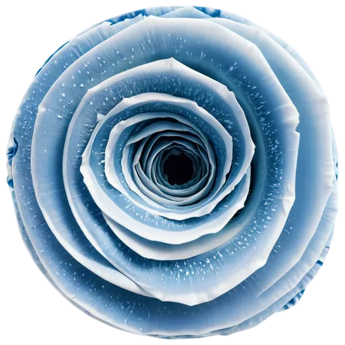 vórtice color azul difuminado en el exterior, en medio del vórtice hay varios fajos de dólares, visto por arriba,frosted rose,spiral background,blue rose,frost bubble,liposome,raindrop rose,annulus,sp