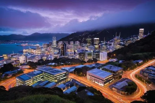 Wellington cityscape, modern skyscrapers, sleek glass buildings, bustling streets, futuristic transportation systems, advanced network infrastructure, high-tech servers, routers, modems, fiber optic c