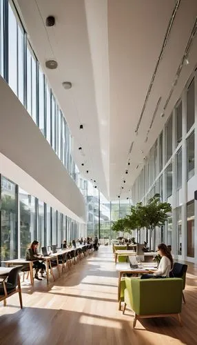 daylighting,bocconi,gensler,atriums,modern office,wintergarden,university library,bobst,schulich,embl,snohetta,shenzhen vocational college,associati,hallward,technion,atrium,school design,architekten,julliard,esade,Illustration,American Style,American Style 04