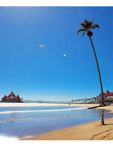 San Diego, California, sunny day, clear blue sky, palm trees swaying gently, iconic Hotel del Coronado, beach scene, people relaxing on sand, surfboards, volleyball net, seagulls flying overhead, warm