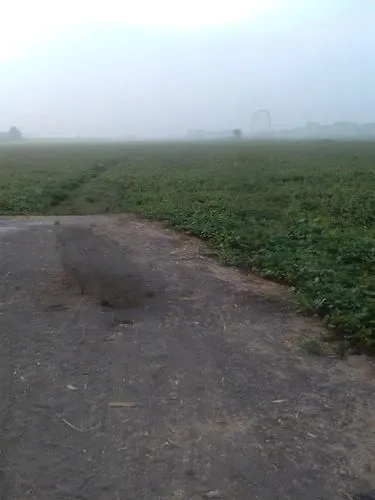 ground fog,rain field,footpath,levanduľové field,pozieres,hare field,maeshowe,airstrip,footpaths,cultivated field,waterlogging,trackway,poppies in the field drain,salt pasture,field,agropecuaria,silbury,polder,airport runway,bullecourt