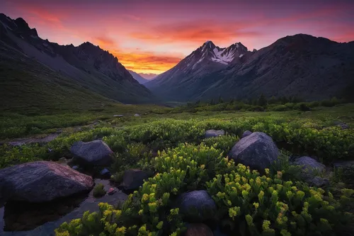 new zealand,northern norway,eastern iceland,milford sound,lofoten,south island,mountain sunrise,alpine meadow,landscape photography,norway,the valley of flowers,yukon territory,fallen giants valley,mountain pasture,nz,united states national park,tasmania,mountain meadow,alaska,nordland,Photography,Documentary Photography,Documentary Photography 17