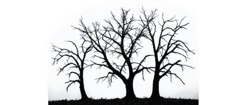 halloween bare trees,birch tree illustration,creepy tree,deforested,bare trees,trees with stitching,row of trees,dead branches,the trees,ghost forest,tree die,of trees,tree silhouette,trees,tree grove,dead wood,old tree silhouette,burnt tree,dead tree,the roots of trees,Conceptual Art,Daily,Daily 19