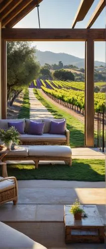 yountville,tokara,wine country,napa valley,carneros,cottars,mondavi,vinyard,antinori,winery,vineyards,napa,boisset,mudbrick,domaine,wineland,barossa,vineyard,wine-growing area,roof terrace,Conceptual Art,Sci-Fi,Sci-Fi 11