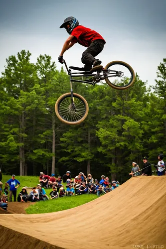 dirt jumping,bicycle motocross,mountain bike racing,slopestyle,bmx racing,flatland bmx,half-pipe,freestyle motocross,fullpipe,motocross riding,downhill mountain biking,freestyle bmx,redbud,dirtbike,bmx bike,half pipe,shredding,freeride,motorcross,reedy,Conceptual Art,Fantasy,Fantasy 09