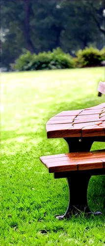 wooden bench,benches,garden bench,bench,park bench,picnic table,red bench,wood bench,wooden table,man on a bench,chair in field,school benches,background bokeh,defocus,barbecue area,small table,ritsurin garden,bench by the sea,outdoor table and chairs,greenspace,Photography,Documentary Photography,Documentary Photography 31