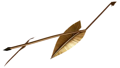 dried leaf,leaf branch,palm leaf,tribal arrows,fan leaf,longbow,traditional bow,suspended leaf,bow and arrows,decorative arrows,pterosaur,wind vane,feather bristle grass,trumpet leaf,wooden arrow sign,hawk feather,hand draw arrows,brown leaf,dried leaves,chestnut leaf,Photography,Documentary Photography,Documentary Photography 37