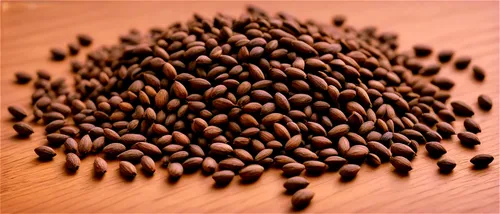 coffee seeds,coffee beans,roasted coffee beans,peaberry,java beans,robusta,arabica,cloves,seeds,peppercorns,caffari,sidamo,urad,black pepper,beanballs,puji,flax seed,flaxseed,coffee background,javabeans,Photography,Documentary Photography,Documentary Photography 15