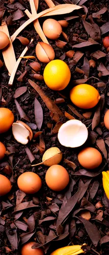 Compost heap, various organic waste, fruit peels, vegetable scraps, tea bags, coffee grounds, eggshells, dry leaves, brown soil, moist texture, natural lighting, macro photography, shallow depth of fi