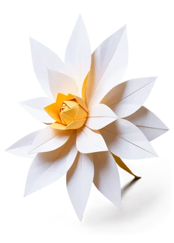 lotus png,gold flower,paper flower background,salt flower,plastic flower,decorative flower,fried egg flower,bicolored flower,flowers png,water flower,white flower,fabric flower,star flower,magnolia star,desert flower,retro flower silhouette,small sun flower,minimalist flowers,two-tone flower,cut flower,Unique,Paper Cuts,Paper Cuts 02