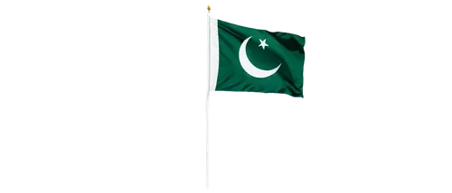 pakistan,pakistans,pakistan pkr,pak,azadi,pti,paki,subcontinent,registan,tehrik,islami,pakis,ahmadiyya,muhajir,subcontinental,ijt,pakistani,turkistani,isi,islamia,Illustration,Retro,Retro 24