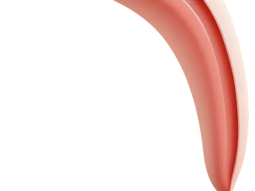 diaphragms,diaphone,semicircles,semicircular,ellipsoids,ellipsoid,diaphragm,salmon pink,apical,hydrocele,epididymis,watermelon background,keratoconus,pink round frames,perineum,collagen,stoma,cardioid,cystoscopy,semicircle,Art,Classical Oil Painting,Classical Oil Painting 34