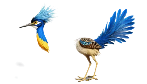 zazu,egretta,bird png,eurobird,blue and gold macaw,featherlite,feathered race,caeruleus,blue crane,chakavian,wark,taltos,chamoiseau,featherlike,sekaric,stormvogels,confuciusornis,bluewings,feathers bird,egretta novaehollandiae,Art,Classical Oil Painting,Classical Oil Painting 39