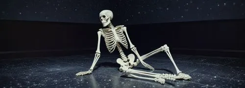 a skeleton sitting on the ground next to a star filled sky,skeleton,skeletal,skelly,vintage skeleton,boney,skeletal structure