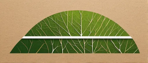 palm leaf,coconut leaf,grass fronds,green folded paper,leaf drawing,palm leaves,block of grass,palm fronds,pine needle,wheat grass,leaf rectangle,palm pasture,cardstock tree,grass blades,long grass,mape leaf,brick grass,tropical leaf,fern leaf,wheatgrass,Photography,Documentary Photography,Documentary Photography 28