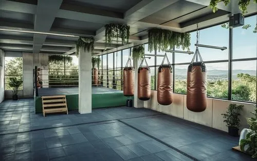 Boxing gym, boxing ring, punching bags, clean, urban style, lots of vegetation, concrete pergola open to the sky, vegetation from the ceiling, natural light,a room with an indoor gym and some plants,d