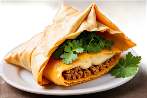 Golden empanadilla, savory pastry, crispy edges, flaky layers, melted cheese, juicy meat filling, garnished with fresh cilantro, solo, close-up, 3/4 composition, warm lighting, shallow depth of field,