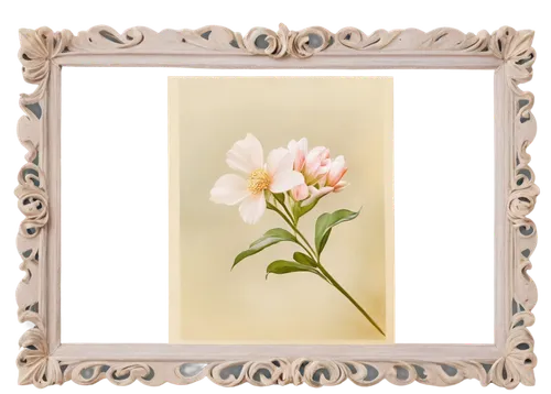 peony frame,flowers frame,flower frame,floral and bird frame,floral silhouette frame,botanical frame,floral frame,flower border frame,flower frames,frame flora,tuberose,decorative frame,rose frame,clover frame,art deco frame,roses frame,flowers png,frame rose,freesias,freesia,Illustration,Retro,Retro 23