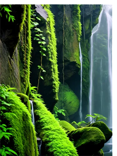 green waterfall,ash falls,nectan,nature background,waterfalls,brown waterfall,water falls,moss landscape,multnomah falls,salt creek falls,cascades,water fall,nature wallpaper,waterfall,cascading,bridal veil fall,oregon,background view nature,verdant,natural scenery,Conceptual Art,Oil color,Oil Color 13