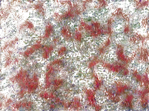 kngwarreye,seamless texture,japanese floral background,efflorescence,sphagnum,cotoneaster,coral bush,flower carpet,floral digital background,epilobium,rumex,red foliage,marpat,floral composition,terrazzo,kimono fabric,red leaves,rowanberry,carpet,red confetti,Illustration,Paper based,Paper Based 15