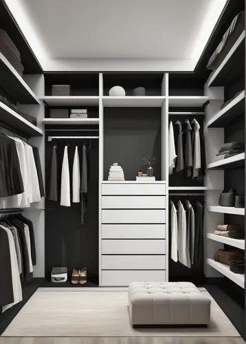 Design a minimalist walk-in closet with sleek built-in shelves and a monochrome color scheme.,walk-in closet,closet,wardrobe,shelving,women's closet,storage cabinet,dark cabinetry,cabinetry,armoire,cu