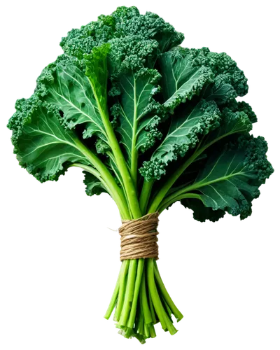 rapini,brocoli broccolli,broccoflower,kale,broccoli,cruciferous vegetables,brassica,pak-choi,vegetable,lacinato kale,cleanup,a vegetable,green dragon vegetable,collard greens,cabbage,patrol,savoy cabbage,veggie,romaine,parsley,Conceptual Art,Sci-Fi,Sci-Fi 20