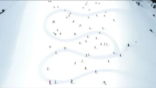 ski race,snow drawing,snow ring,skibowl,snowbowl,snowboardcross,snowsports,snowslide,snocountry,snow figures,infinite snow,avoriaz,superpipe,snow trail,campiglio,snow slope,snowslides,skiied,skiing,ski resort