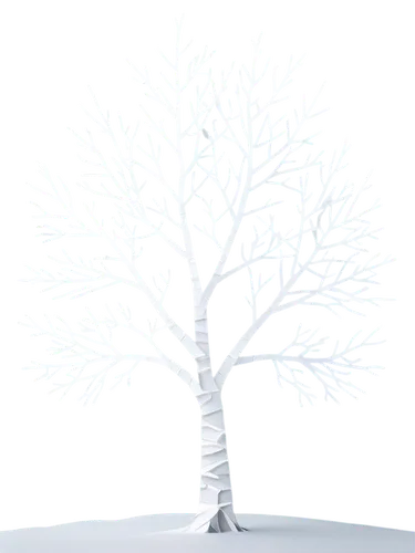 snow tree,snowy tree,isolated tree,winter tree,small tree,birch tree background,treemsnow,tree white,snowflake background,winter background,bare tree,hoarfrost,metasequoia,tree thoughtless,tree,a tree,smaller tree,lone tree,schneebaum,christmas snowy background,Unique,Paper Cuts,Paper Cuts 03