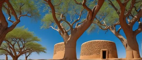 Grand Sudano-Sahelian style, Kéré architecture, Burkina Faso, mud-brick buildings, rounded adobe structures, conical thatched roofs, wooden doors with intricate carvings, narrow windows, ornate facade