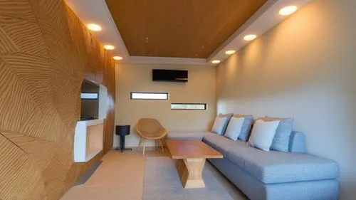 cabin,contemporary decor,paneling,clubroom,inverted cottage,modern decor,ufo interior,board room,collaboratory,interior modern design,hallway space,wood casework,concrete ceiling,train car,airstreams,railway carriage,seating area,modern minimalist lounge,conference room,family room,Photography,General,Realistic