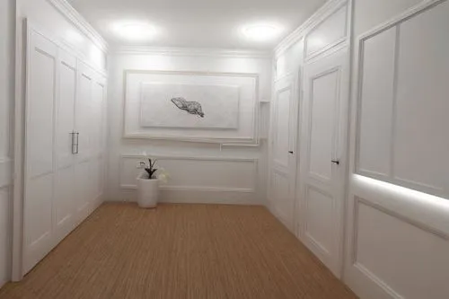 hallway space,walk-in closet,hallway,mudroom,white room,corridor,hallways,wainscoting,corridors,room door,closets,millwork,anteroom,enfilade,danish room,wardrobes,hardwood floors,empty interior,creepy doorway,entryway,Realistic,Foods,None