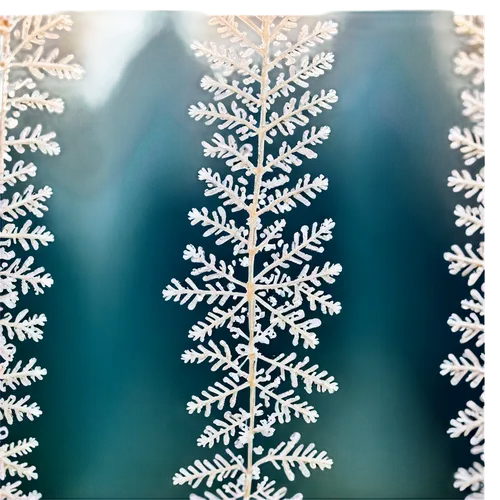 christmas snowflake banner,christmas tree pattern,snowflake background,fir tree decorations,christmas pattern,fir-tree branches,christmas snowy background,fir needles,fir tree silhouette,blue spruce,fir branches,snow trees,frosted glass pane,gold foil snowflake,trees with stitching,evergreen trees,watercolor christmas pattern,blue snowflake,christmas motif,fir trees,Conceptual Art,Daily,Daily 09